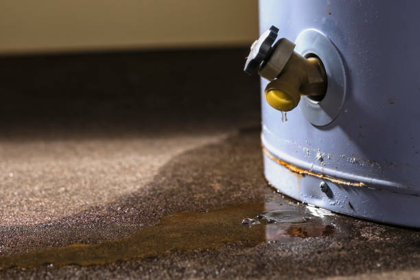 Best Commercial water damage restoration  in Belle Chasse, LA