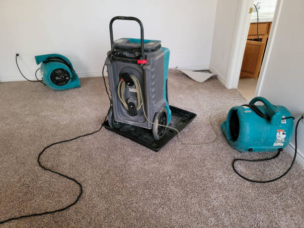 Best Mold removal after water damage  in Belle Chasse, LA