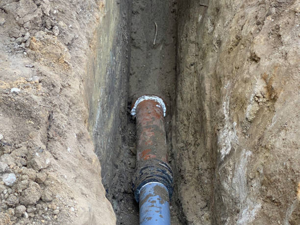 Best Professional water damage repair  in Belle Chasse, LA