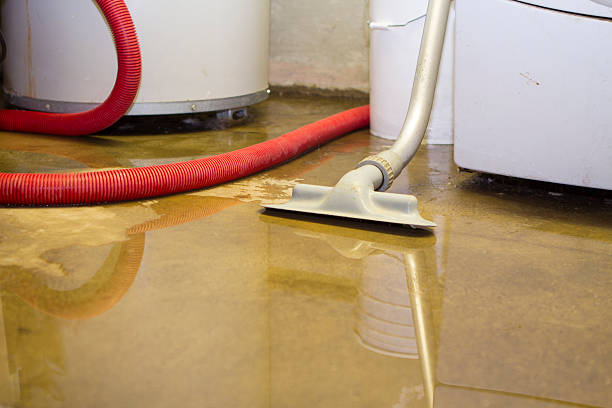 Best Flooded house restoration  in Belle Chasse, LA